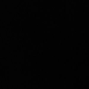 Meet your Posher, Ryleigh